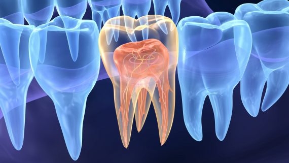Endodontic treatment gains space in national public health – Ocanal Notícias Corporativa