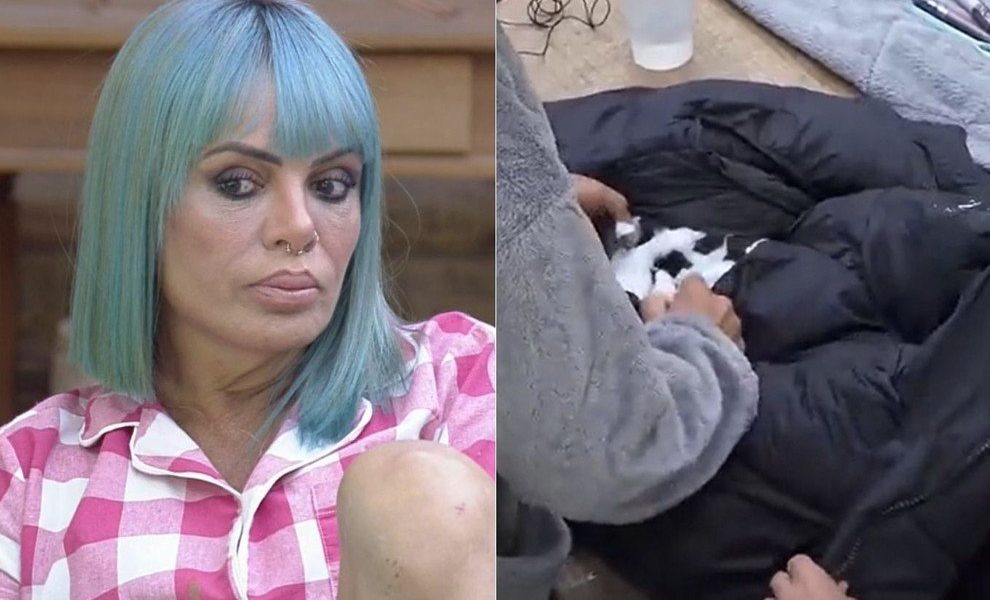 A Fazenda 2021: Valentina tenta disfarçar e revela que não viu Day rasgando jaqueta de Rico: "Não gostei"